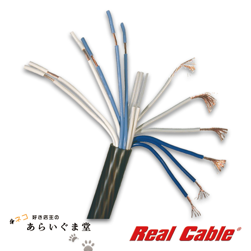 REAL CABLE HDTDC600